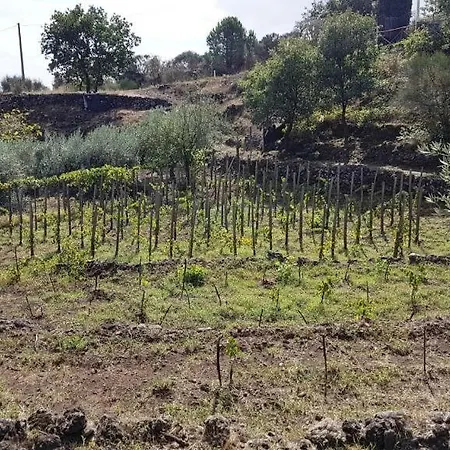Casa Rovittello *