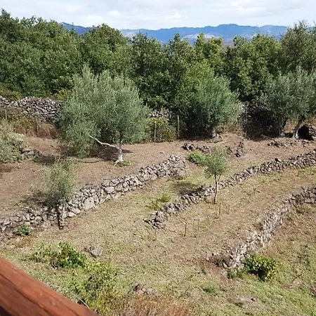 Apartment Casa Rovittello