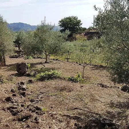 Casa Rovittello * Solicchiata
