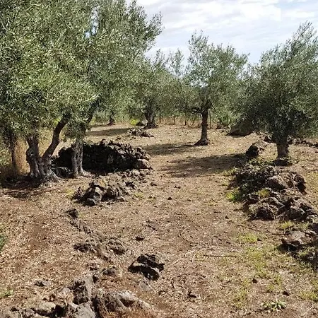 Διαμέρισμα Casa Rovittello