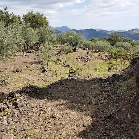 Casa Rovittello Διαμέρισμα *